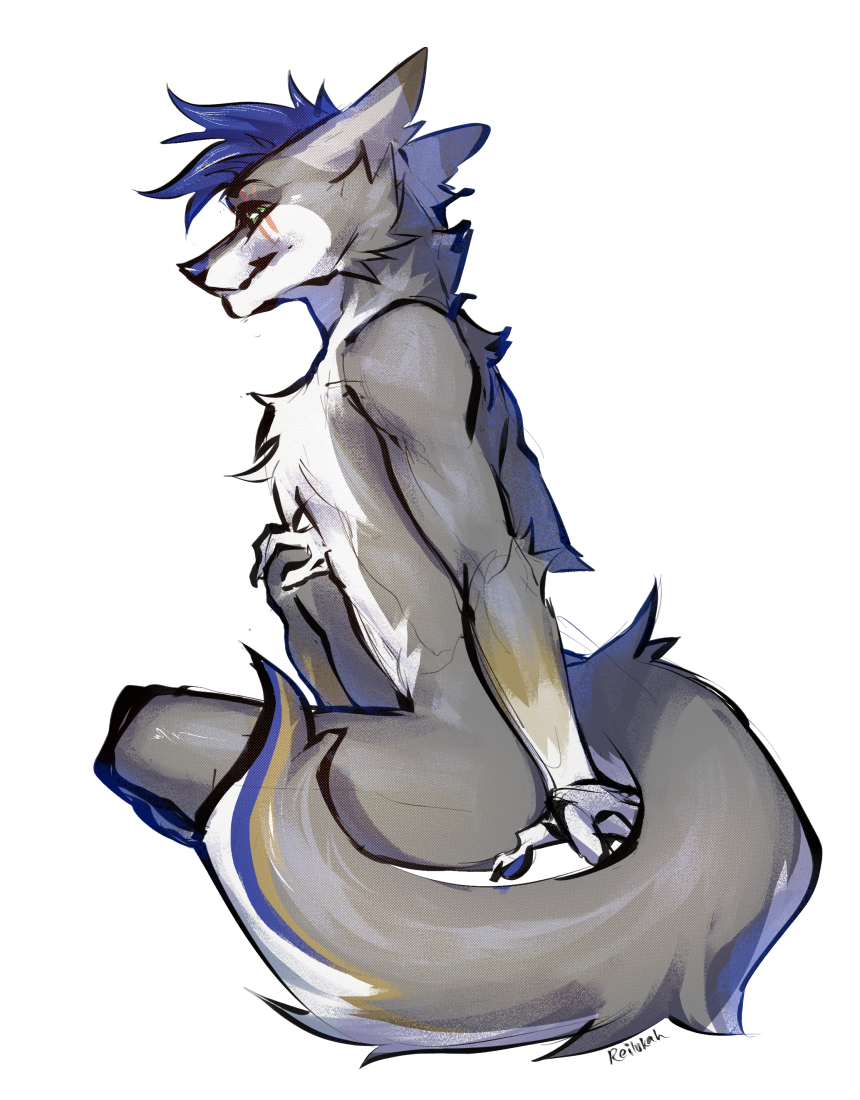 Full-body image of a primarily gray wolf with blue hair, a blue nose and blue/beige highlights on their tail, sitting with their side to the viewer, and their tail curled around.